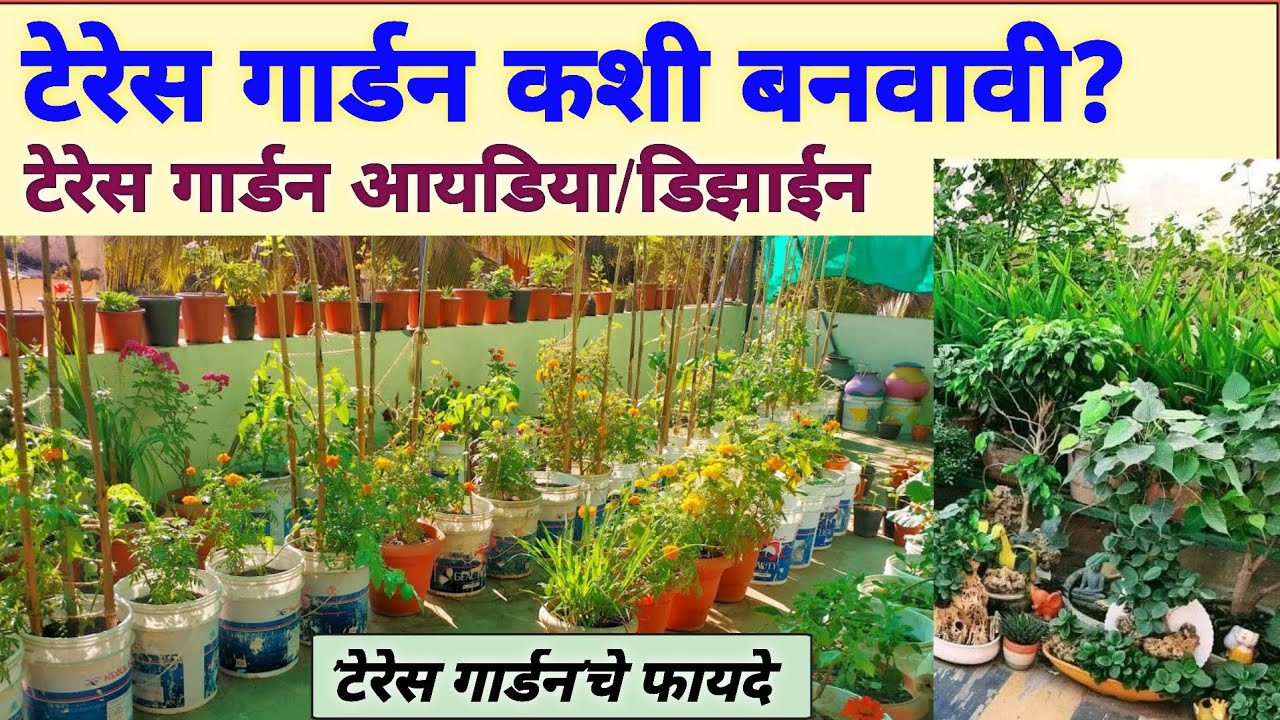 टेरेस गार्डन कशी बनवावी | टेरेस गार्डन चे फायदे | Terrace Garden design | Terrace Garden Ideas
