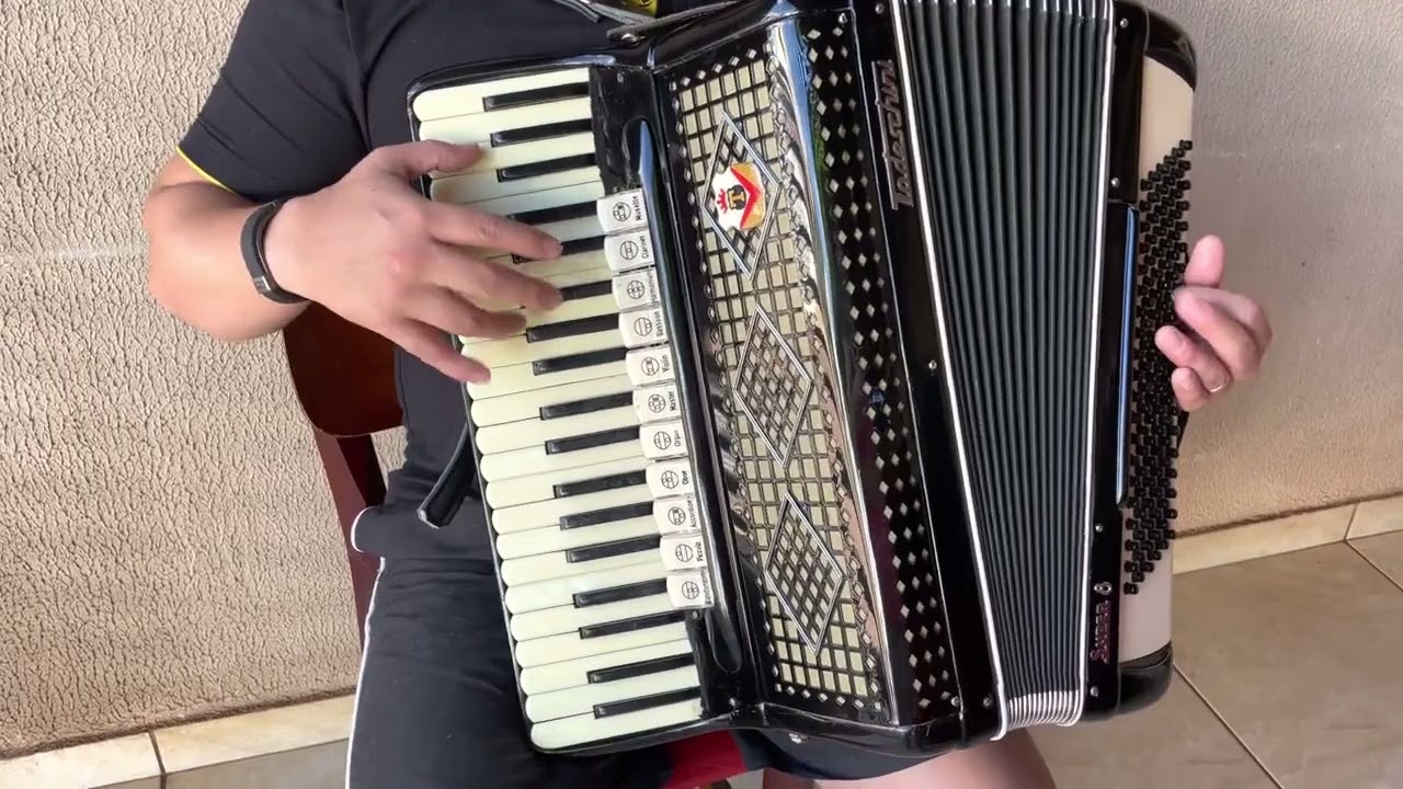 (Vendido ) ACORDEON TODESCHINI SUPER 8