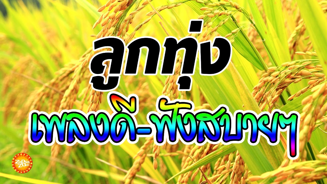 เพลงลูกทุ่งดีฟังสบายๆ (คัดพิเศษ)