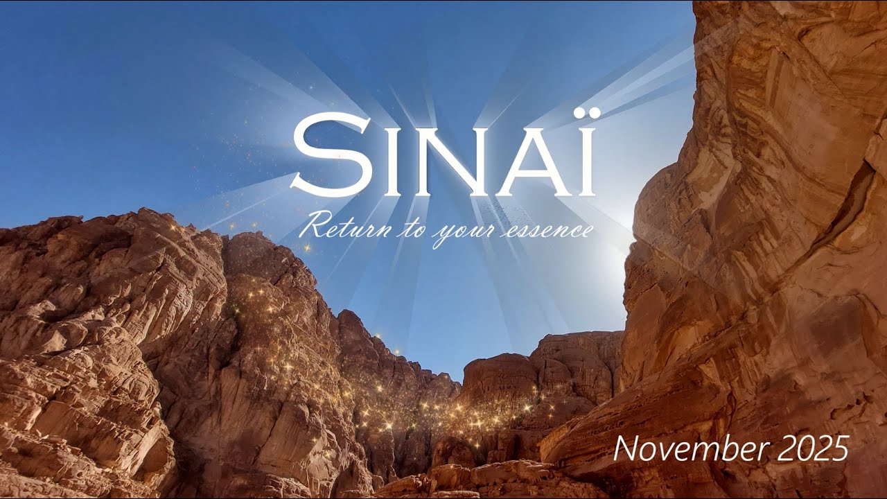 Sinaï trip, November 2025