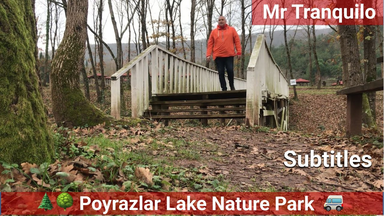 Poyrazlar Gölü Tabiat Parkı  🌲İstanbul'a yakın gezilecek yerler 🚐