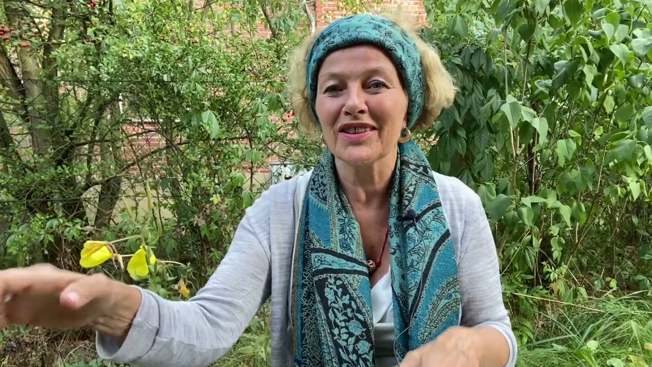 Der ultimative Gamechanger und die Nachtkerze, schamanische Botschaft
