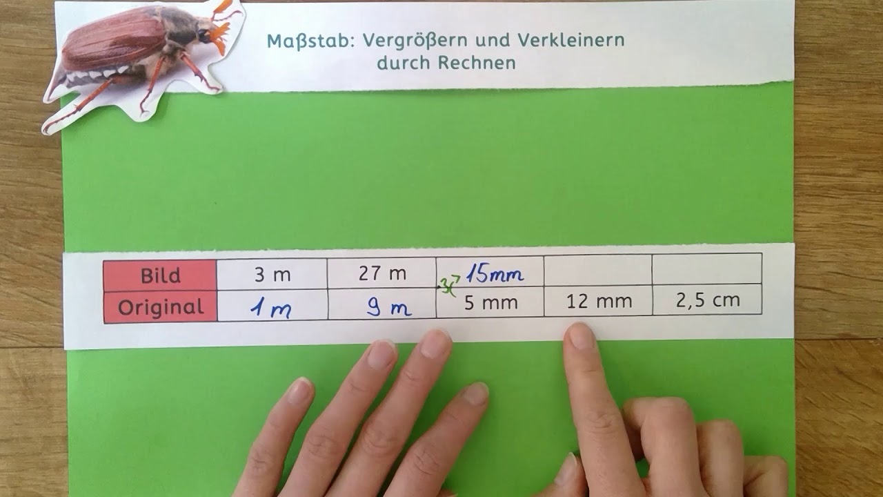 V.2: Maßstab - Vergrößern und Verkleinern durch Rechnen (Grundschule)