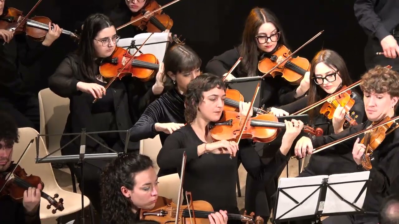 EINE KLEINE NACHTMUSIK KV 525 in sol maggiore - W.A.  Mozart