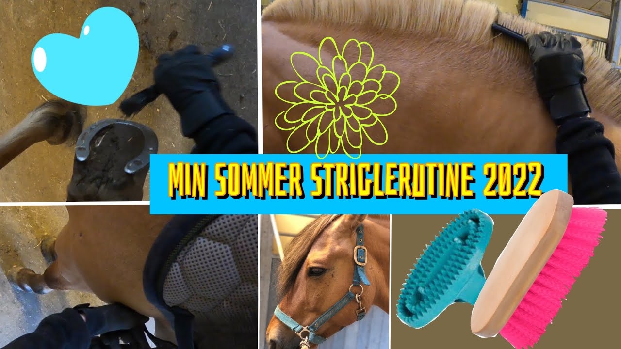 Min sommer striglerutine 2022! #GoPro