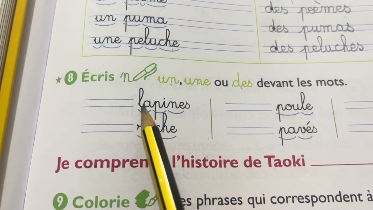 Reconnaître le singulier et le pluriel 
