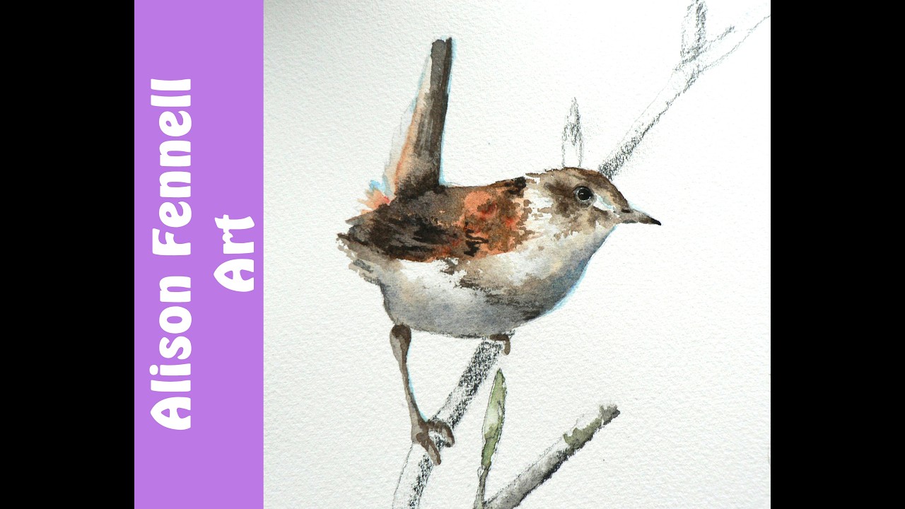Watercolour Wren Tutorial - Beginners