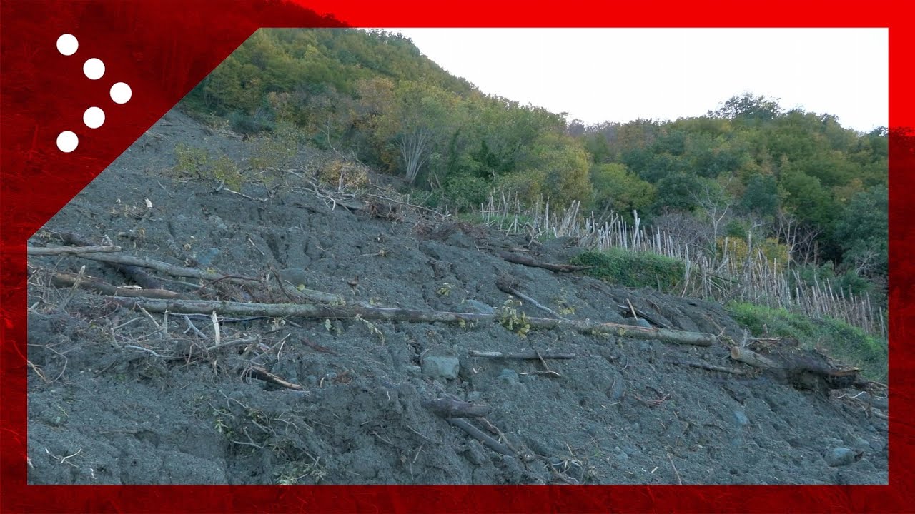 Ischia, l'altra frana a Fasano: come i terrazzamenti di viti hanno rallentato la colata di fango
