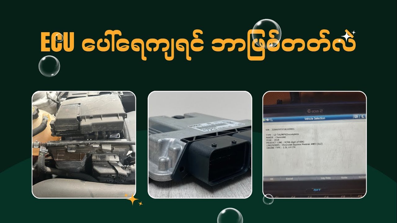 ECU ပေါ် ရေကျရင် ဘာဖြစ်တတ်လဲ