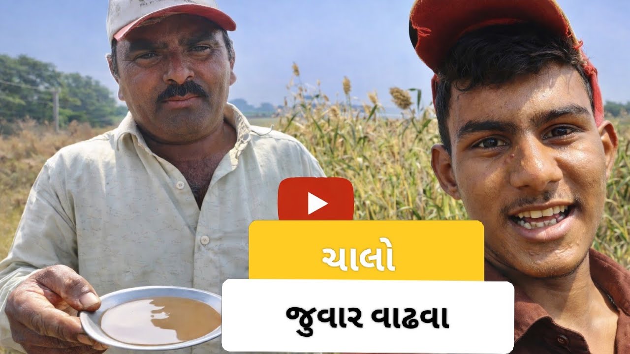 આજે જુવાર વાઢવા ગયા #farming #villagelife #morning #foryou #agriculture 