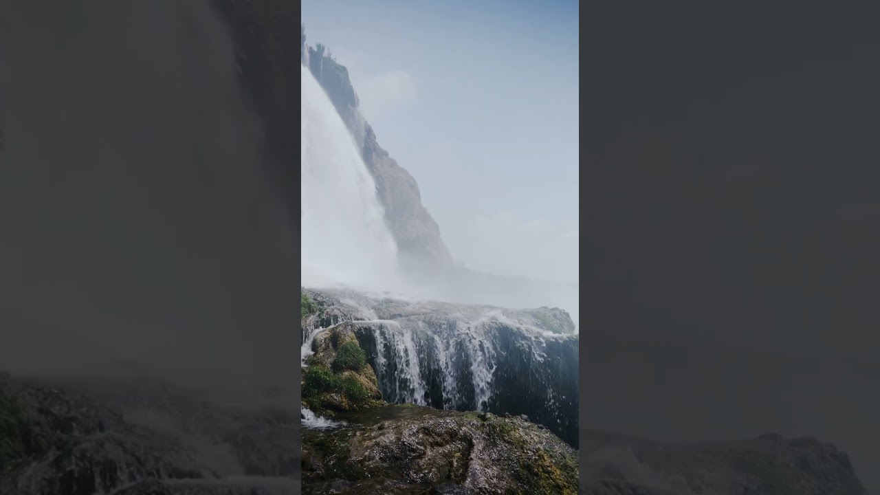 #nature #naturephotography #naturvideo