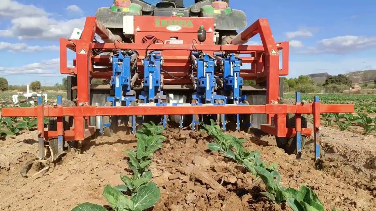 BINADORA FERRARI REMOWEED BROCCOLI SP video