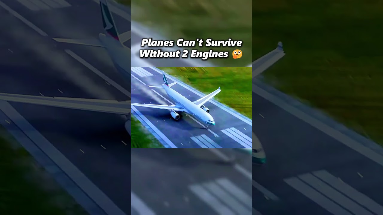 Planes Can't Survive Without 2 Engines Right? 🤔 #aviation #edit #plane #crash