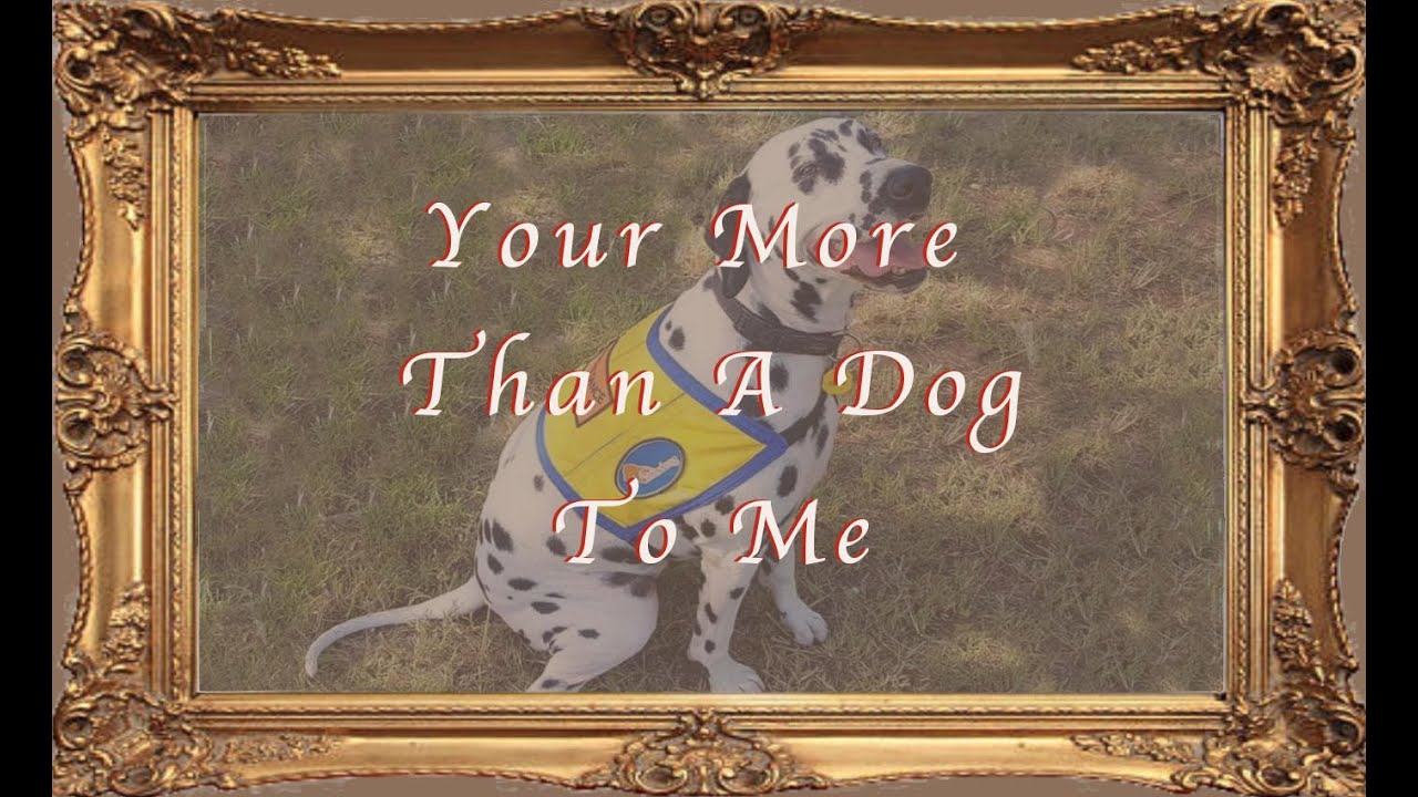 YOUR MORE THAN A DOG TO ME