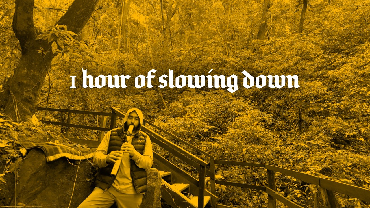 When Nature Says Slow Down | 1 Hour Flute Meditation Music