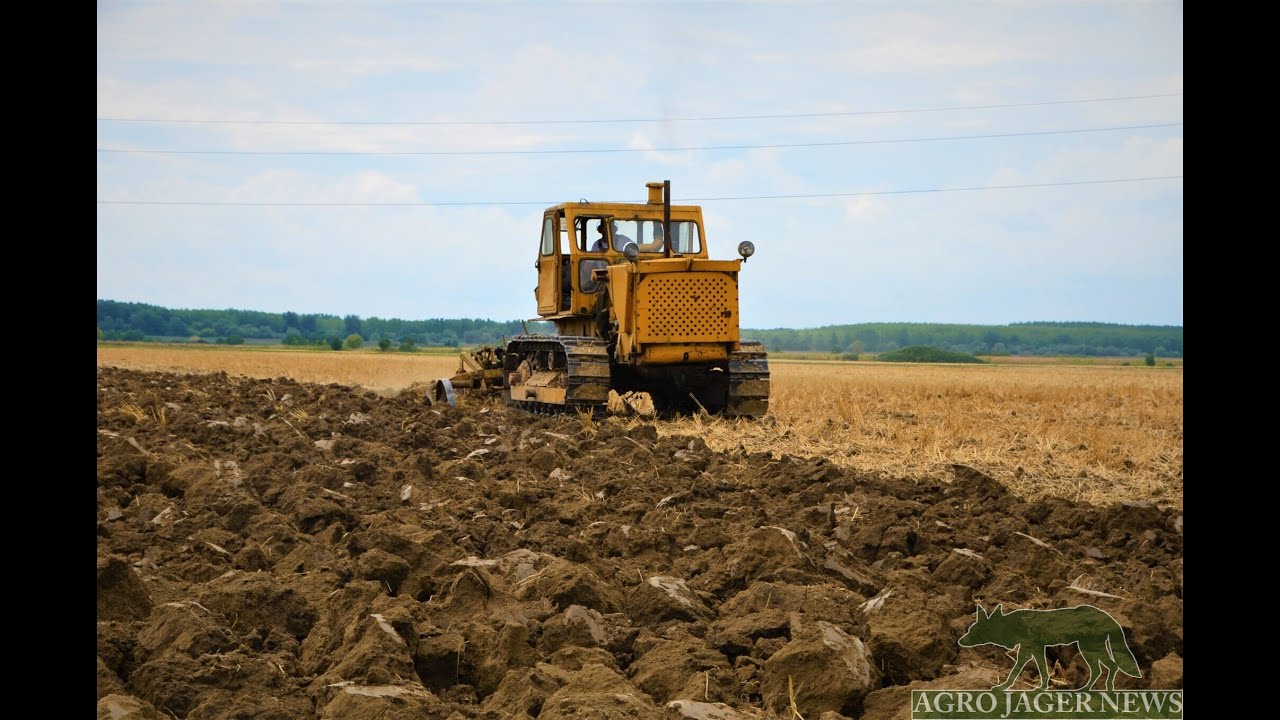 T-100 - Hungary, Mak&oacute;, 2021