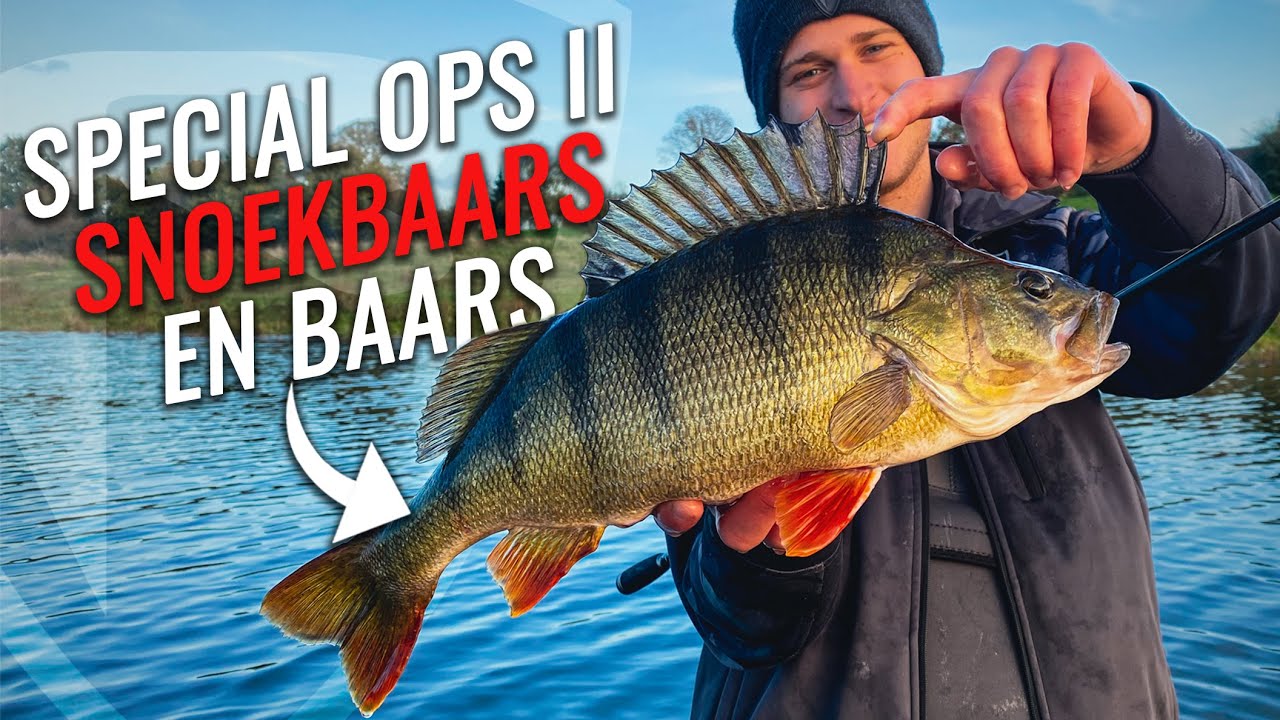 Special Ops II - Baars, snoekbaars op floating creatures | Roofvissen
