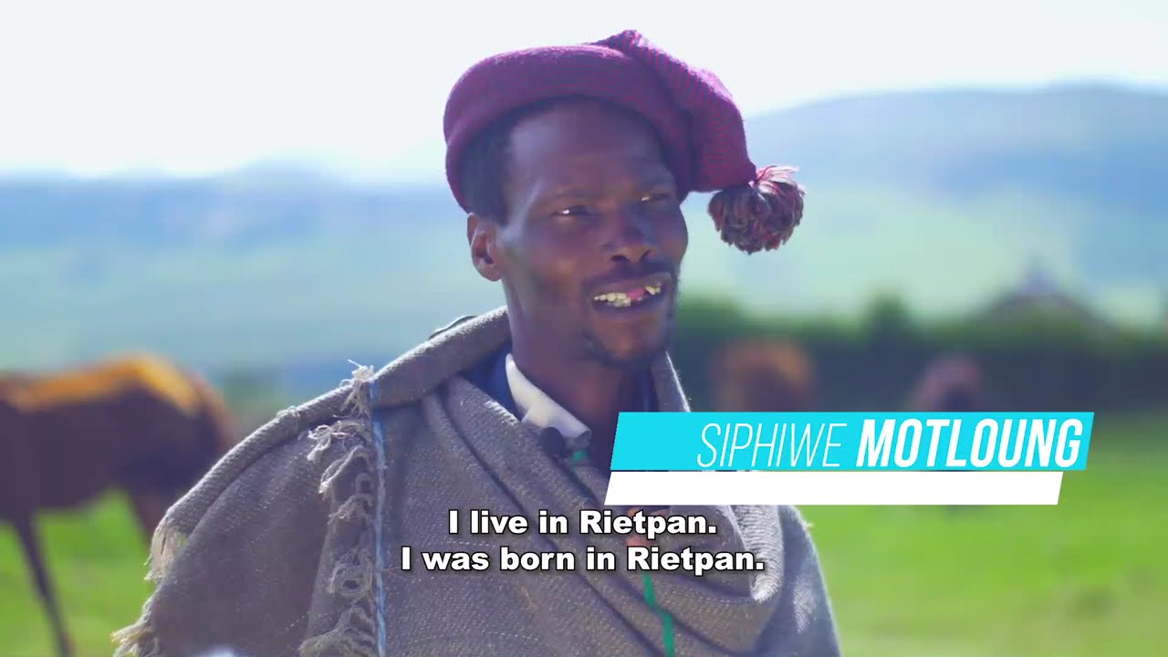MADINGWANA - QWAQWA - Livestock: The Living Bank of Rural South Africa