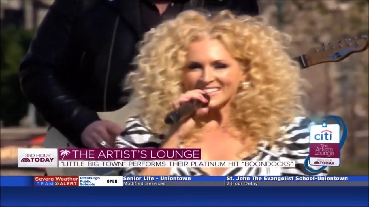 Little Big Town Sings 