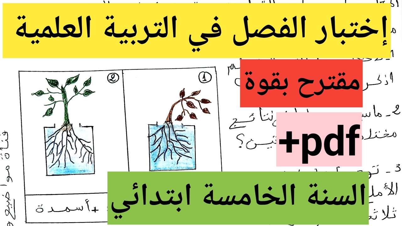 إختبار متوقع بقوة للفصل الثاني في التربية العلمية السنة الخامسة ابتدائي 