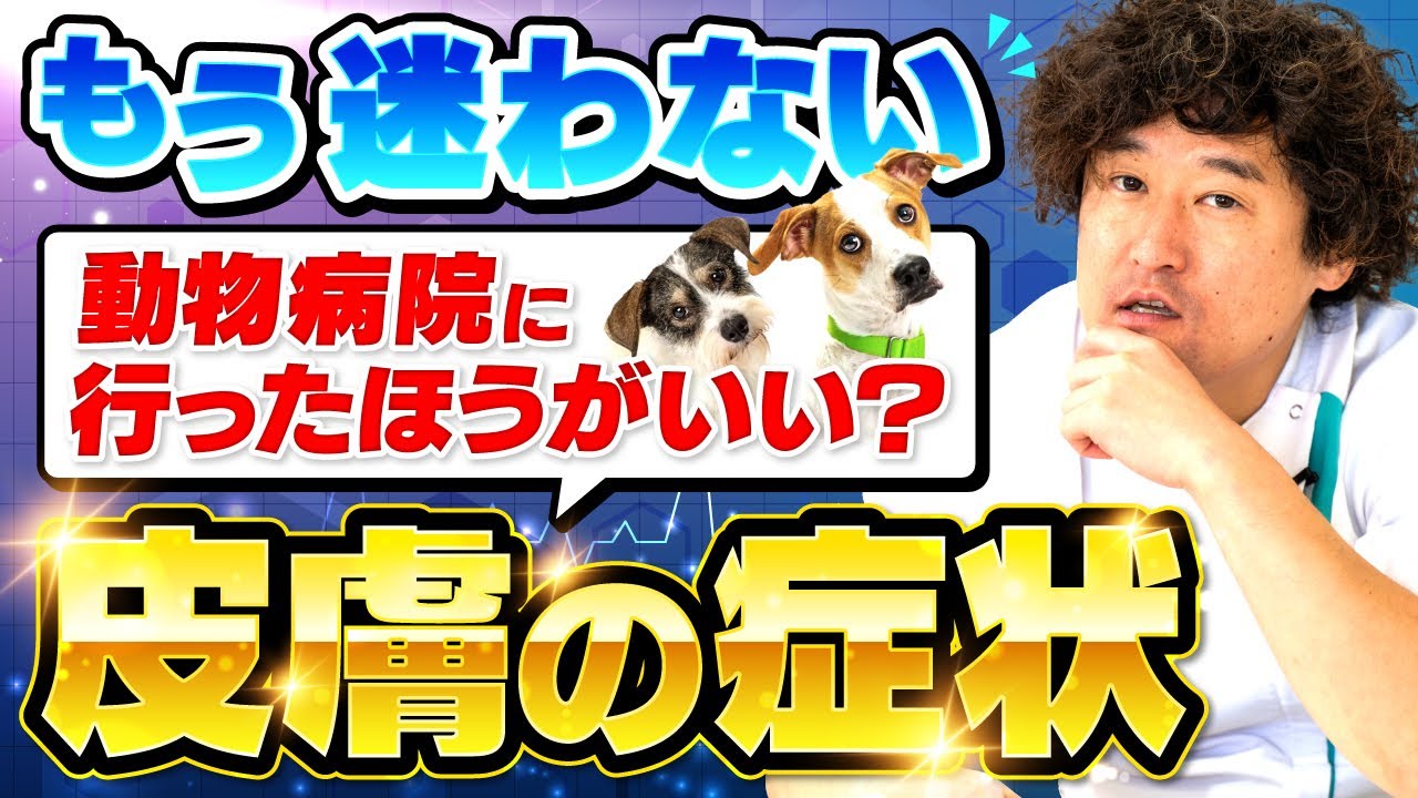 【 犬猫の皮膚トラブル 】こんな症状があったらすぐに動物病院に行こう！