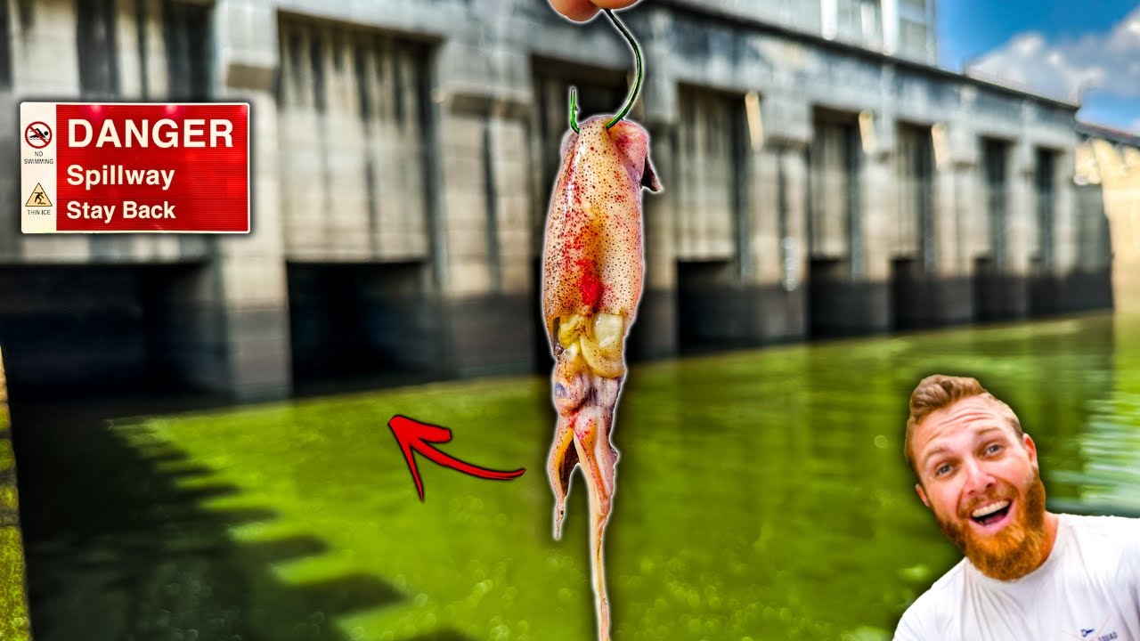 Fishing a MASSIVE Spillway w/ New NASTY Bait!! (it was LOADED)