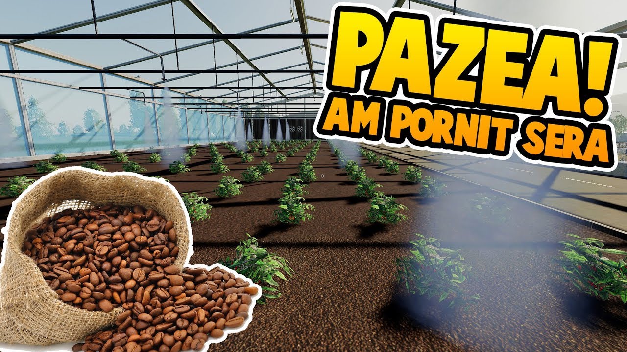 AVEM CAFEA!