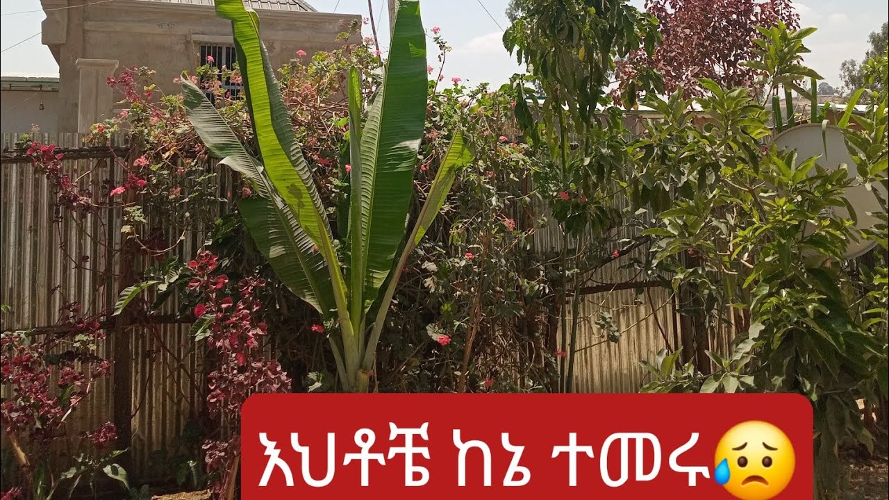 እህቶቼ ከኔ ተመሩ አትሞኙ 😥