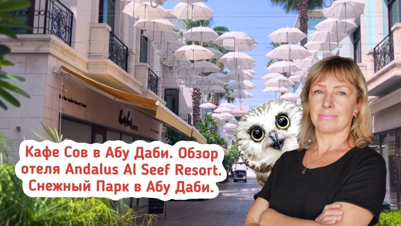 Кафе сов в Абу Даби. Обзор отеля Andalus Al Seef Resort.  Снежный парк в Абу Даби (Al Reem Mall).