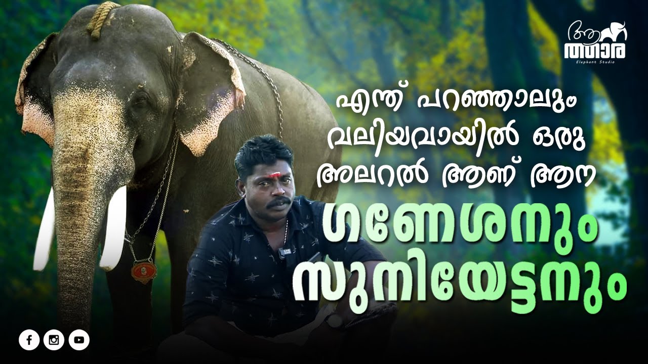 പാപ്പാന്മാർ എന്ത് പറഞ്ഞാലും വലിയവായിൽ അലറുന്നൊരാന, ഉണ്ണിപ്പിള്ളി ഗണേശനും വാടാനപ്പിള്ളി സുനിയും