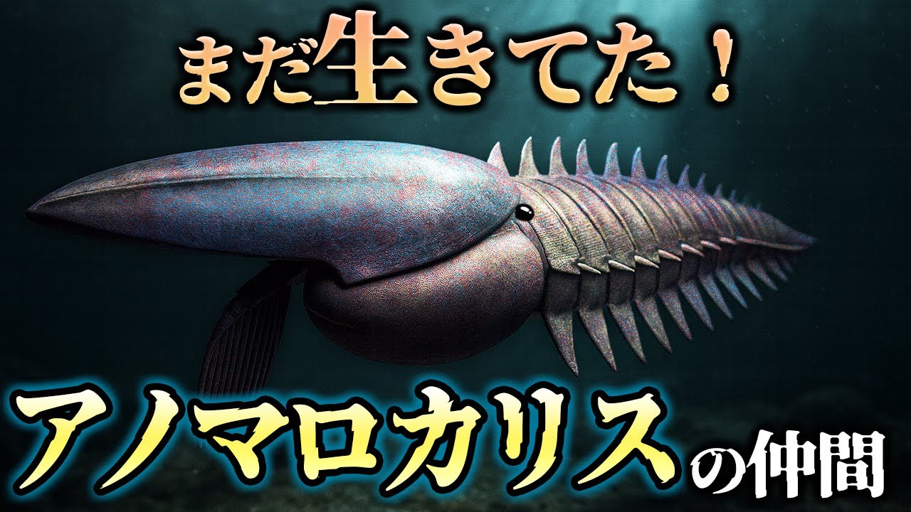 【ゆっくり解説】アノマロカリスの末裔？“長生きしすぎた”ラディオドンタたち