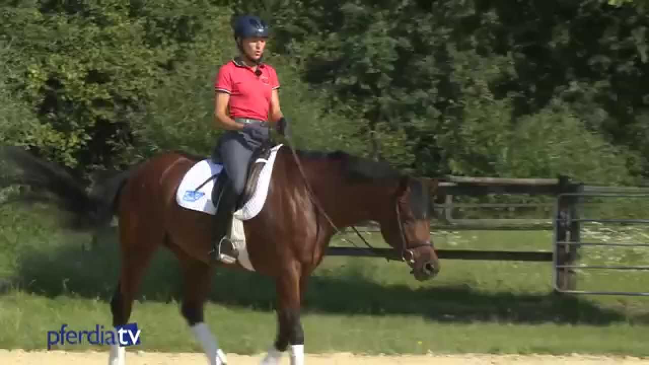 Ruhig Reiten im Parcours, wie geht das? | Tipps von Ingrid Klimke | Frag Ingrid