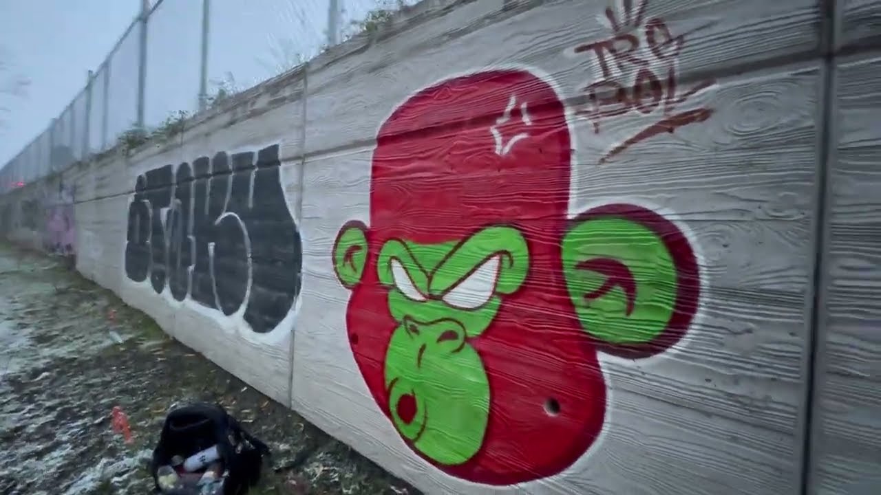 RECUPERANDO MI SPOT ☠️ 🔥🤟🏾🌹🌷