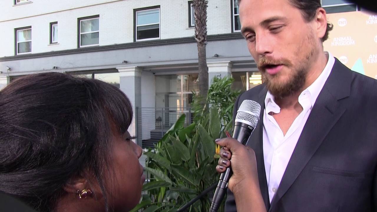 Animal kingdom (Ben Robson)