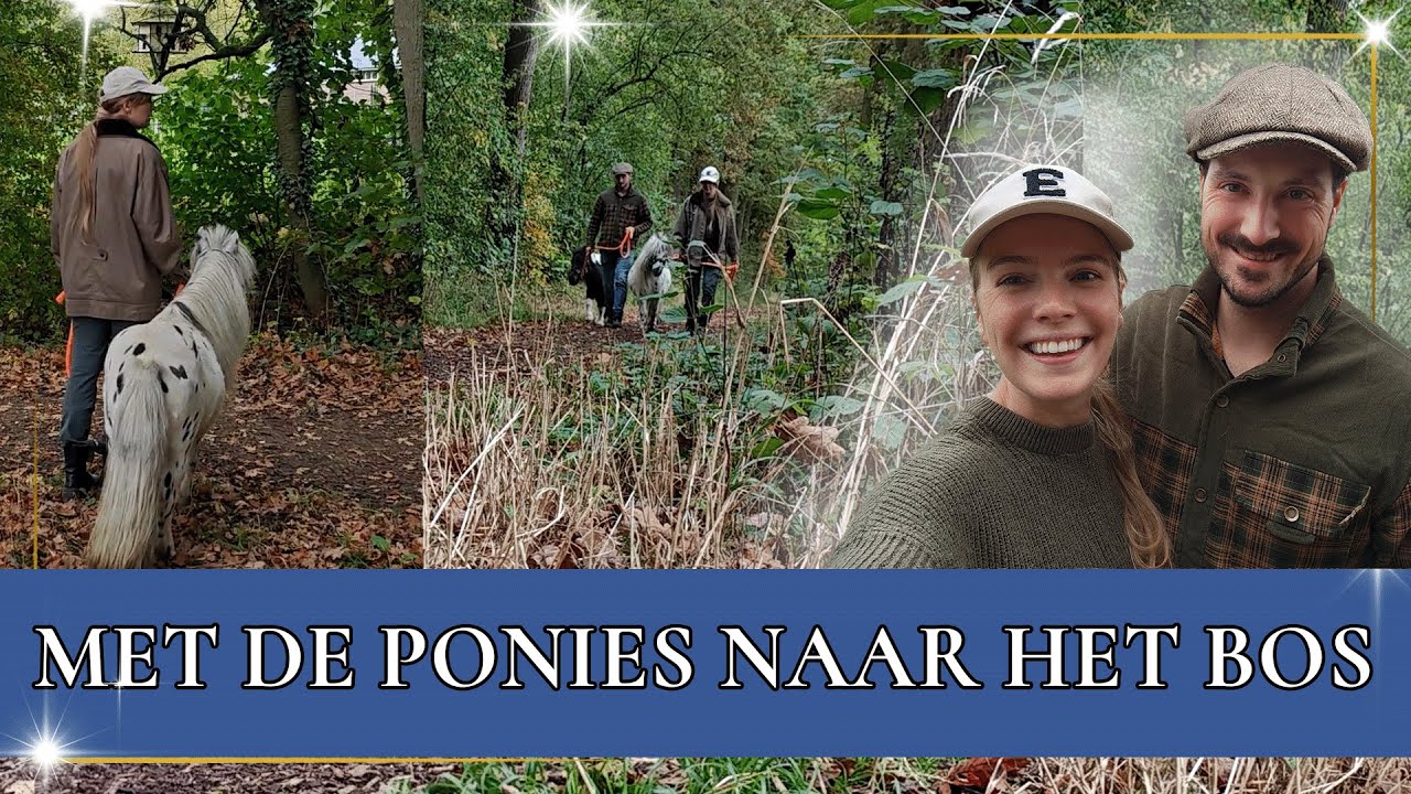 Grote boswandeling met Mickey, Skitles & Smarties! | PaardenpraatTV