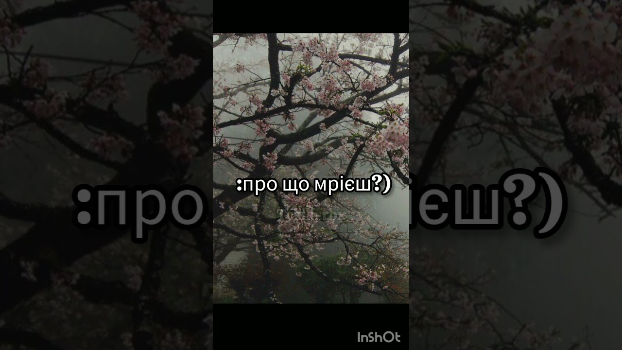 дада..// #р_е_к_о_м_е_д_а_ц_и_и #нетхейту #чеписать #хзчтоснимать #пустьзалетит #shorts