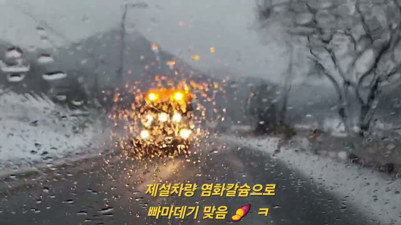 간절했던 눈