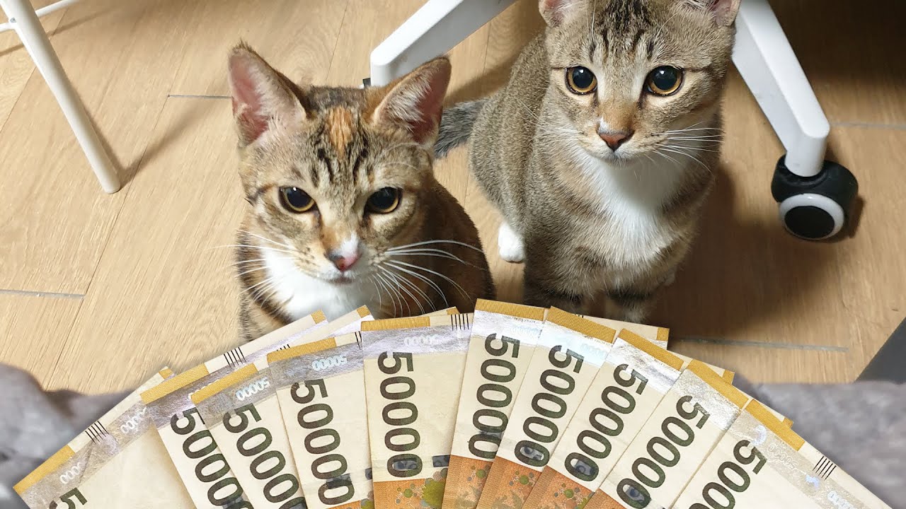 50만원의 행복