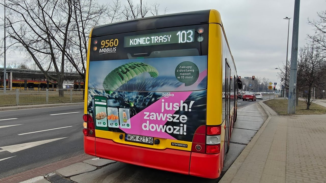 Linia 103 - MAN Lion's City Hybrid #9560 ( Mobilis )