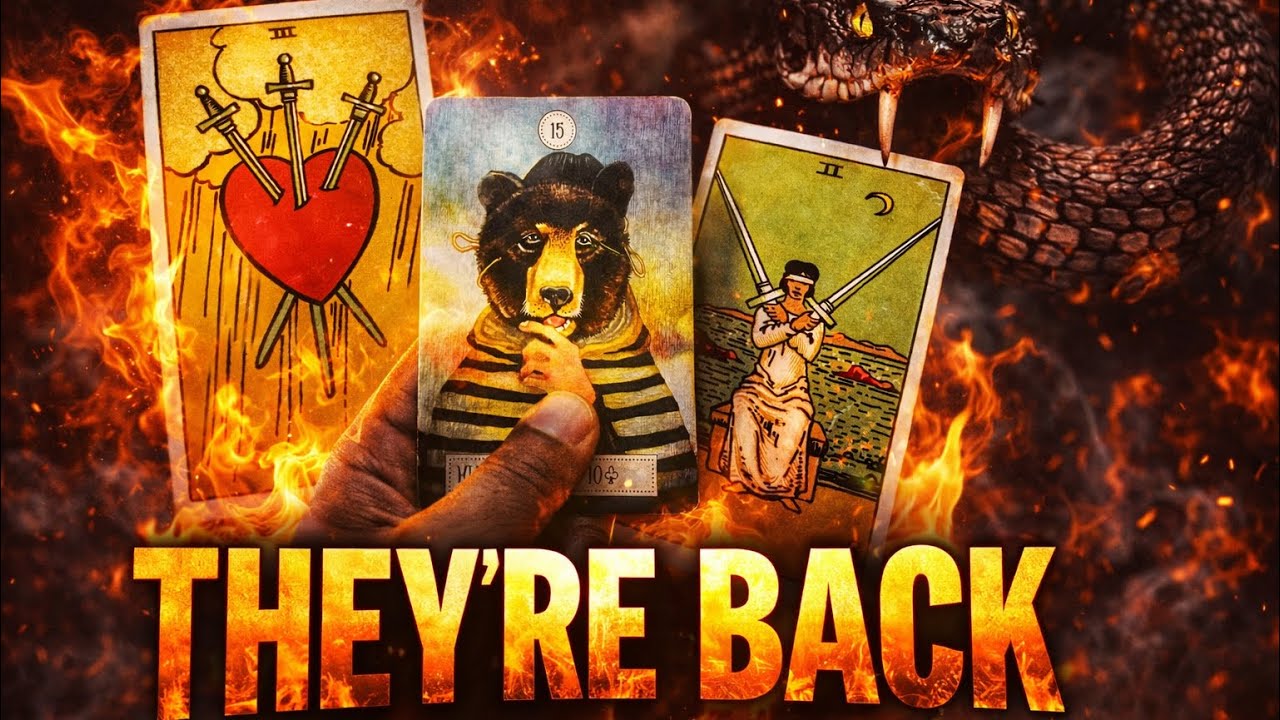 LEO ⚠️ THEY’RE BACK… AND THIS TIME IT’S PERSONAL ♌️Tarot Next 24 Hours