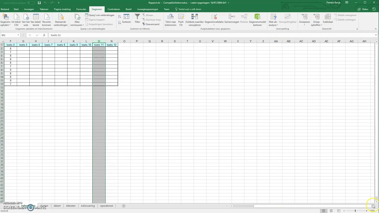 Excel 01: Excel werkomgeving