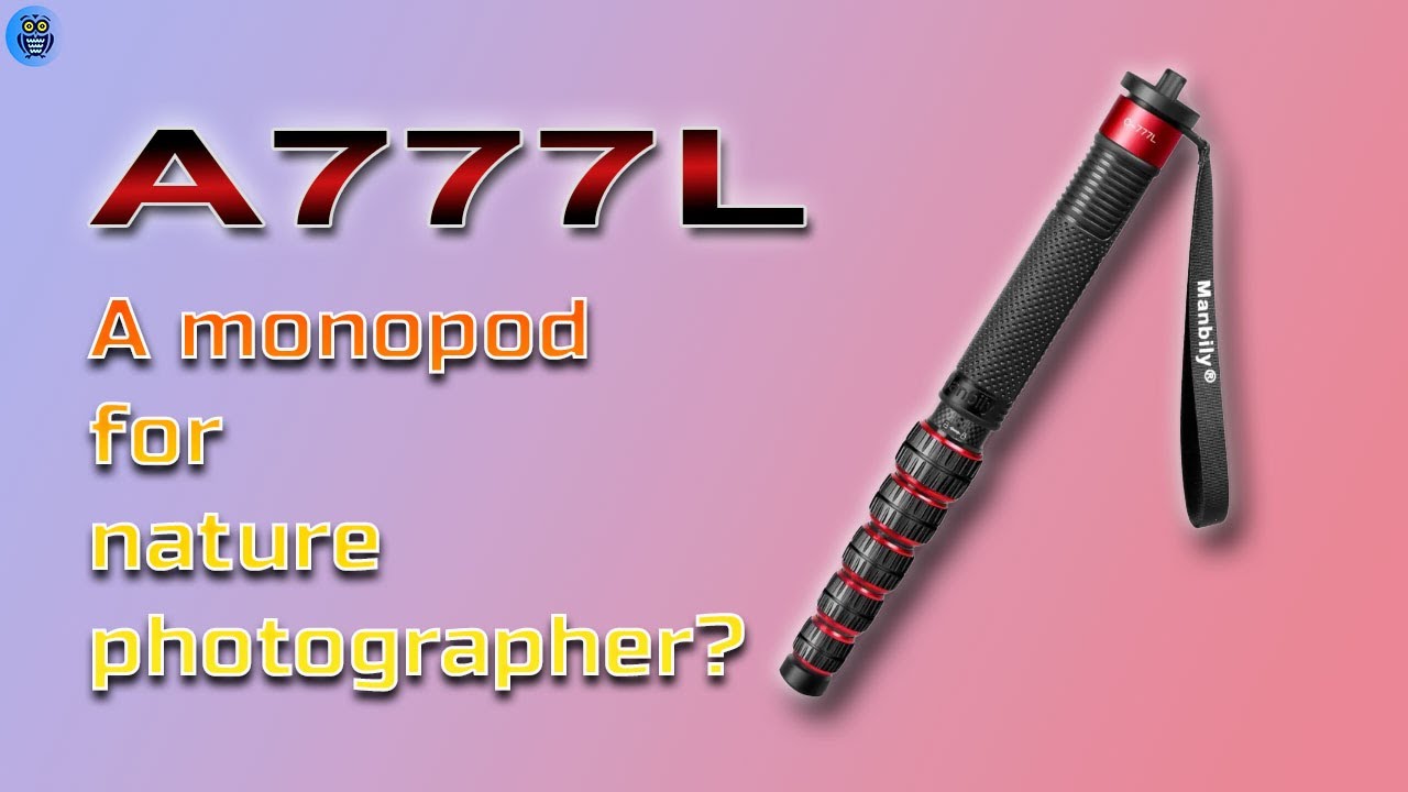 The BEST Budget Tripod for Nature Photography (2024)