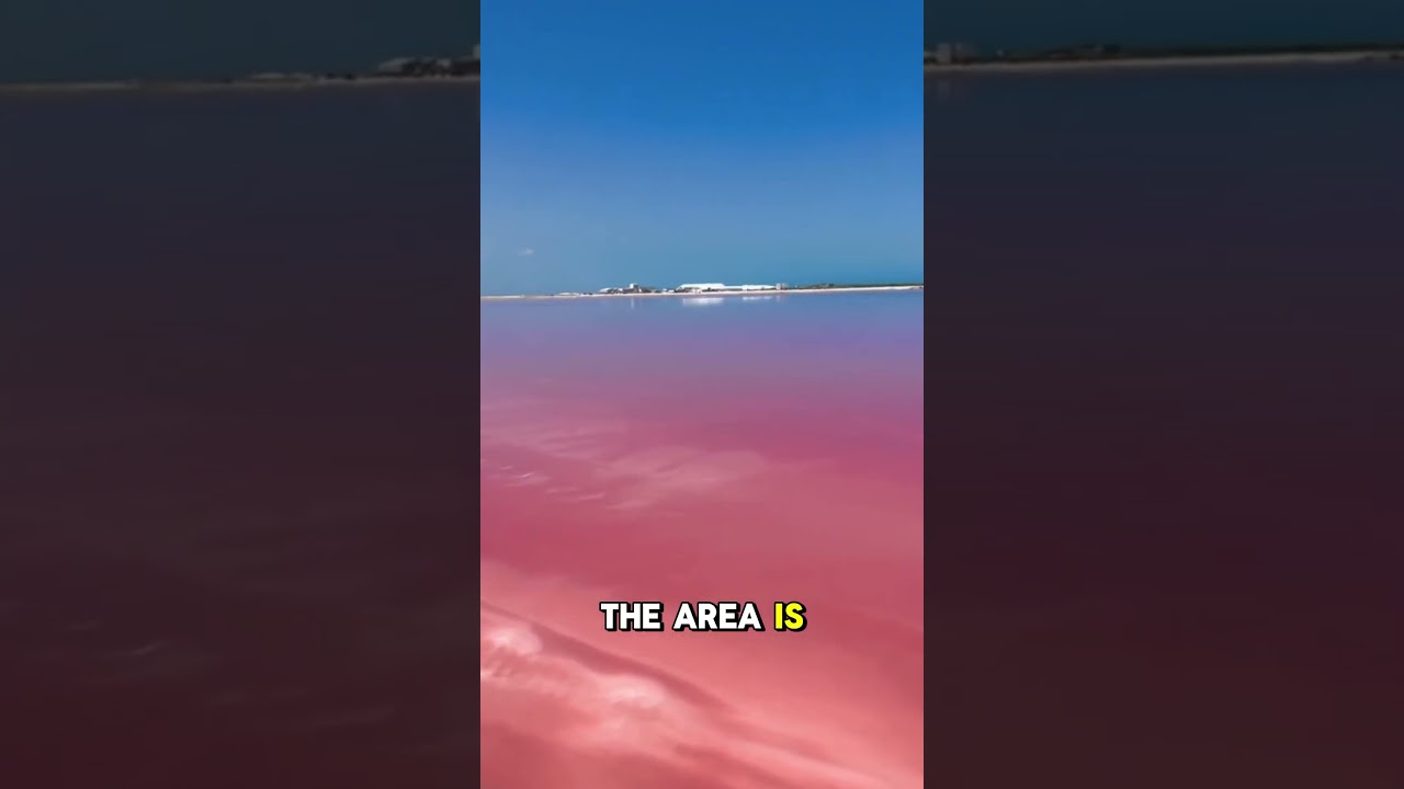 The Pink Lakes of Las Coloradas: A Yucatan Paradise