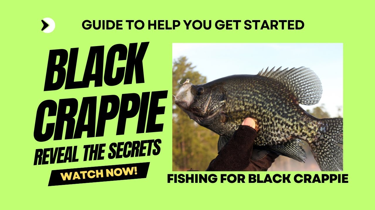 Mastering Black Crappie Fishing: Your Ultimate Beginner's Guide