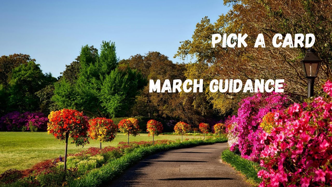 Pick a card. March Guidance