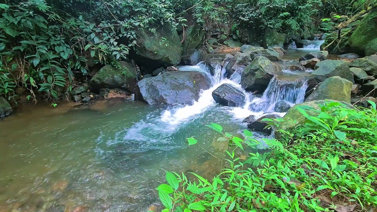 Moonlit River Stream – Soft ASMR Water Flow for Relaxation and Peaceful Sleep