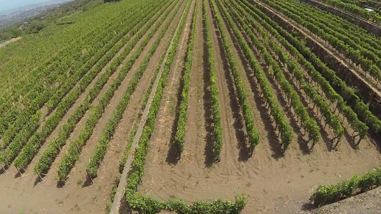 Gambino Etna Winery - From the Top there is always another point of view