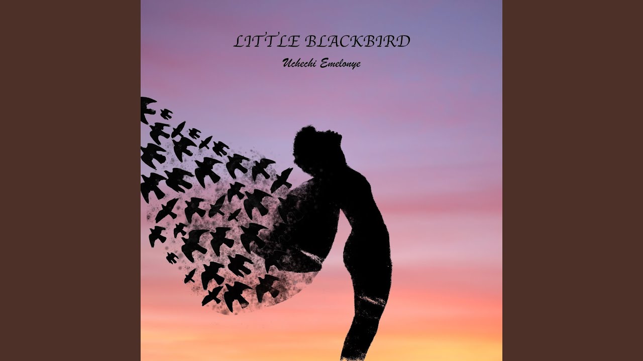 Little BlackBird