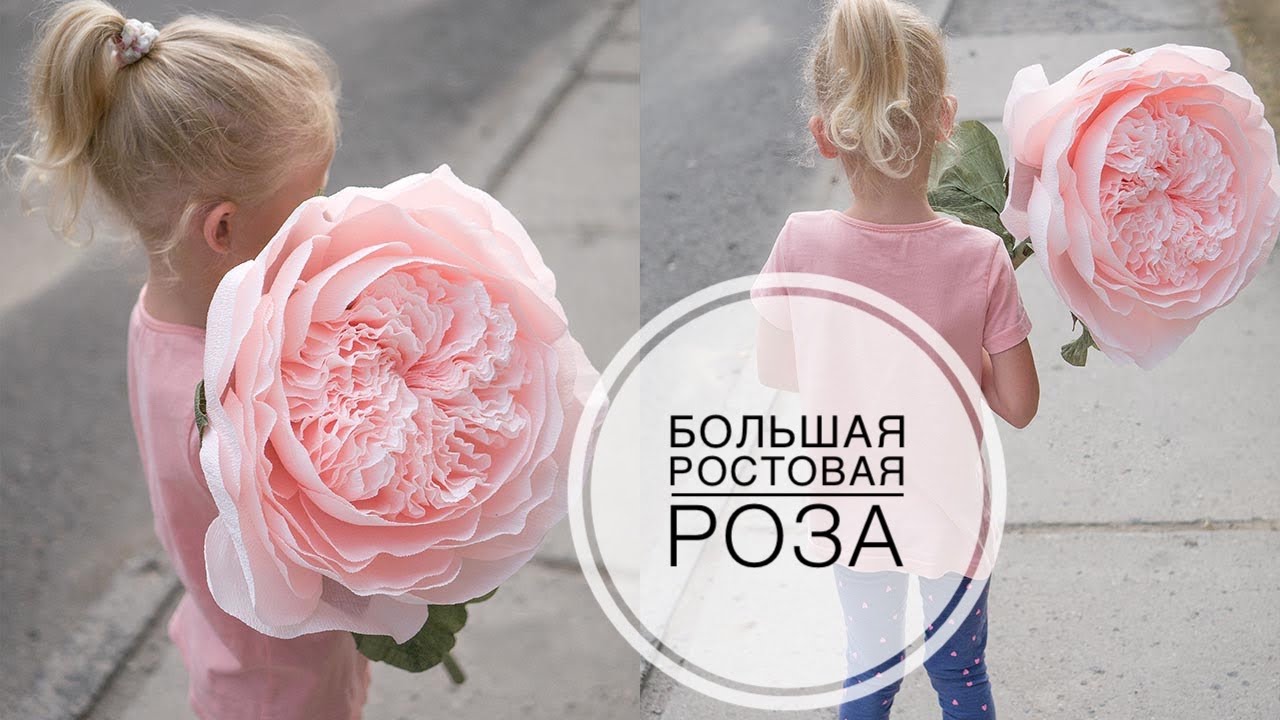 Large peony rose from 1 paper roll / Большая пионовидная роза из 1 рулона бумаги / DIY Tsvoric