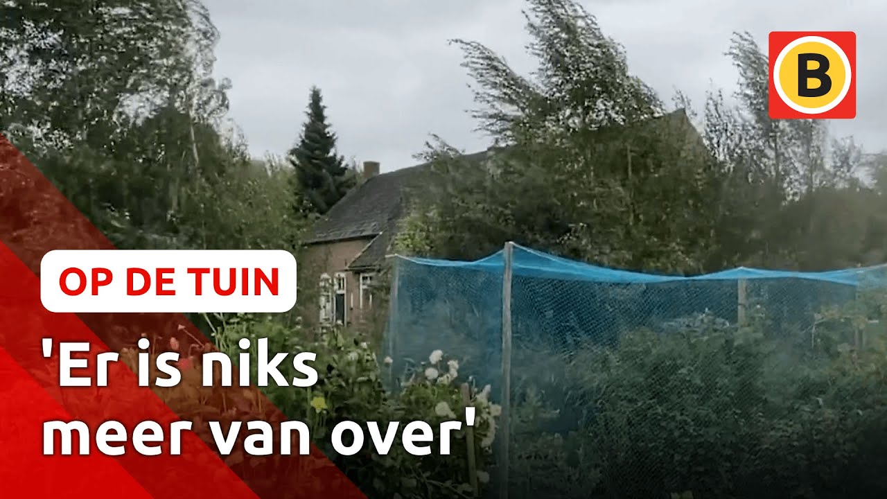 Herfststormen razen over de moestuin | Op de tuin